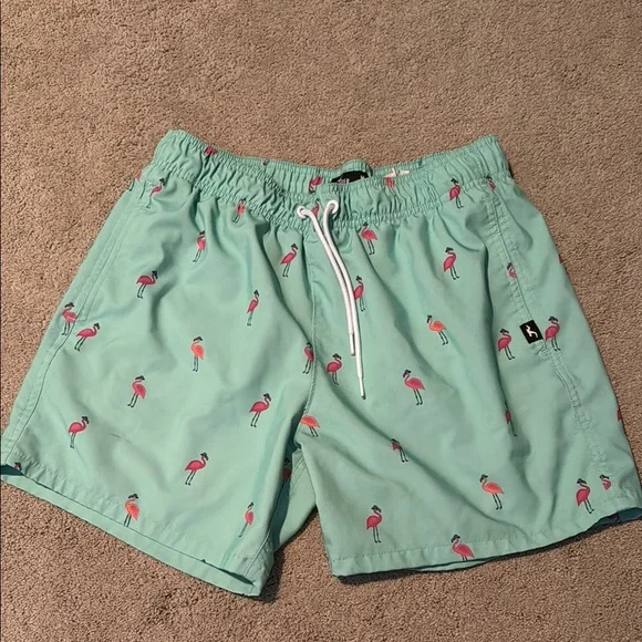 Hollister Men's Green Flamingo Swim Shorts - Picture 1 of 1